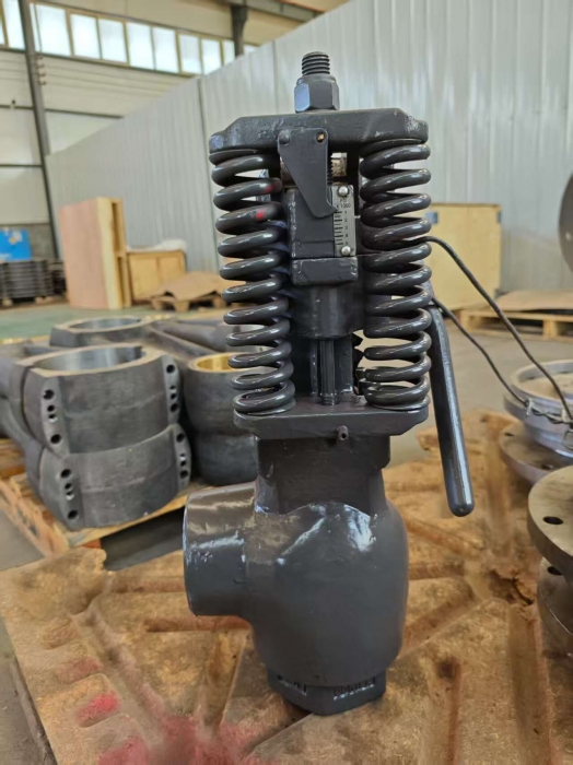 NPT 3-inch Spring-Loaded Safety Valve Oil Drilling Equipment Parts